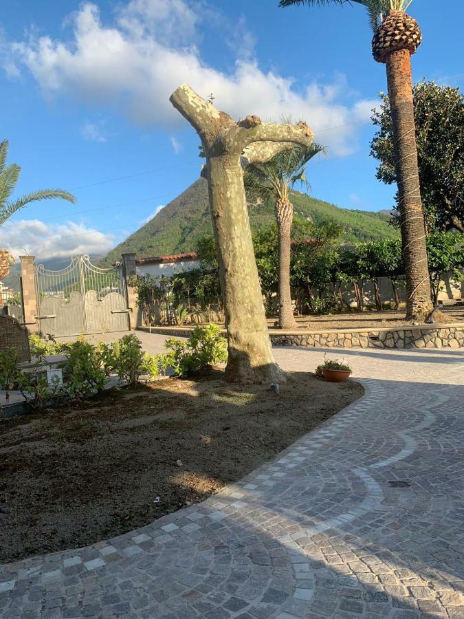 Villa Lucia Terrazza Panoramica Castellammare di Stabia Exteriér fotografie